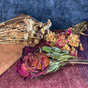 dried-flowers